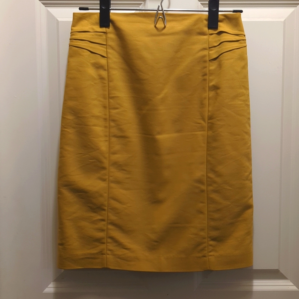Express mid-thigh pencil skirt